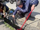 114年臺中清潔月逗陣來拼厝，主任與同仁一同清潔本所周邊水溝垃圾
